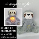 Peluche Oso Perezoso Antiestrés para Bebés y Niños | Suave y Cálido | Modelo 25 cm | Sin Control